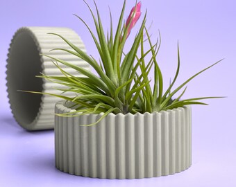 Scandinavische Lucht Planthouder Plantenpot, Cement Pot, Tillandsia Airplant Display Succulent Plant Lover Gift Terrarium Concrete Decor Gift