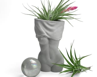 Könnte beinhalten: Ein grauer Betontopf in Form eines menschlichen Torsos mit einer Pflanze, die aus der Oberseite wächst. Die Pflanze hat grüne Blätter und eine rosa Blüte. Im Vordergrund befindet sich eine klare Glaskugel.