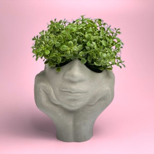 May include: A gray ceramic planter shaped like a face with a green leafy plant growing out of the top.
