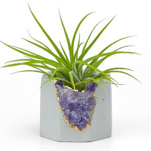 Mother’s Day Gift, Raw Amethyst Crystal Planter | Geode Planter Pot | Succulent Pot |  Air Plant Holder | Cactus Pot | Reiki Crystal Candle