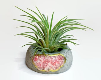 Macetero de aire de geoda de cuarzo rosa / Macetero de cristal de hormigón