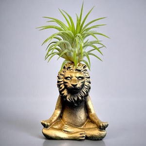 Puede incluir: Una maceta de león dorada en posición de yoga sentado, sosteniendo una planta de aire verde. El león tiene detalles precisos y una melena texturizada. La planta de aire tiene hojas largas y verdes.