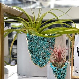 Puede incluir: Dos macetas de cerámica blanca con borde dorado y piedras turquesa. La maceta más grande tiene una planta de aire verde y la maceta más pequeña tiene una planta de aire rosa.