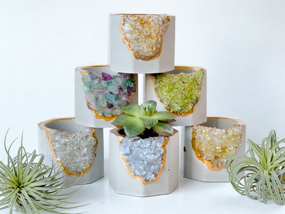 flower and garden seeds Renee's Garden Scatter Garden Cans Endless Bouquets main image 0