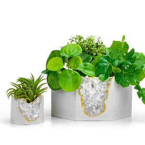 Puede incluir: Dos macetas de hormigón gris con adornos dorados y detalles de cristal, llenas de plantas verdes. Las macetas son de diferentes tamaños y formas, una pequeña y redonda, la otra más grande y hexagonal. Las plantas incluyen suculentas y hojas verdes.