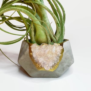 Könnte beinhalten: Ein grauer Betontopf mit goldfarbenem Rand und einem herzförmigen Design aus rosa Quarzkristallen. Der Topf ist mit einer grünen Luftpflanze gefüllt.