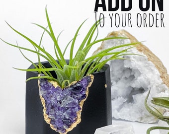 Geode Planter - Add On - for your EXISTING order(s) (no planters included)