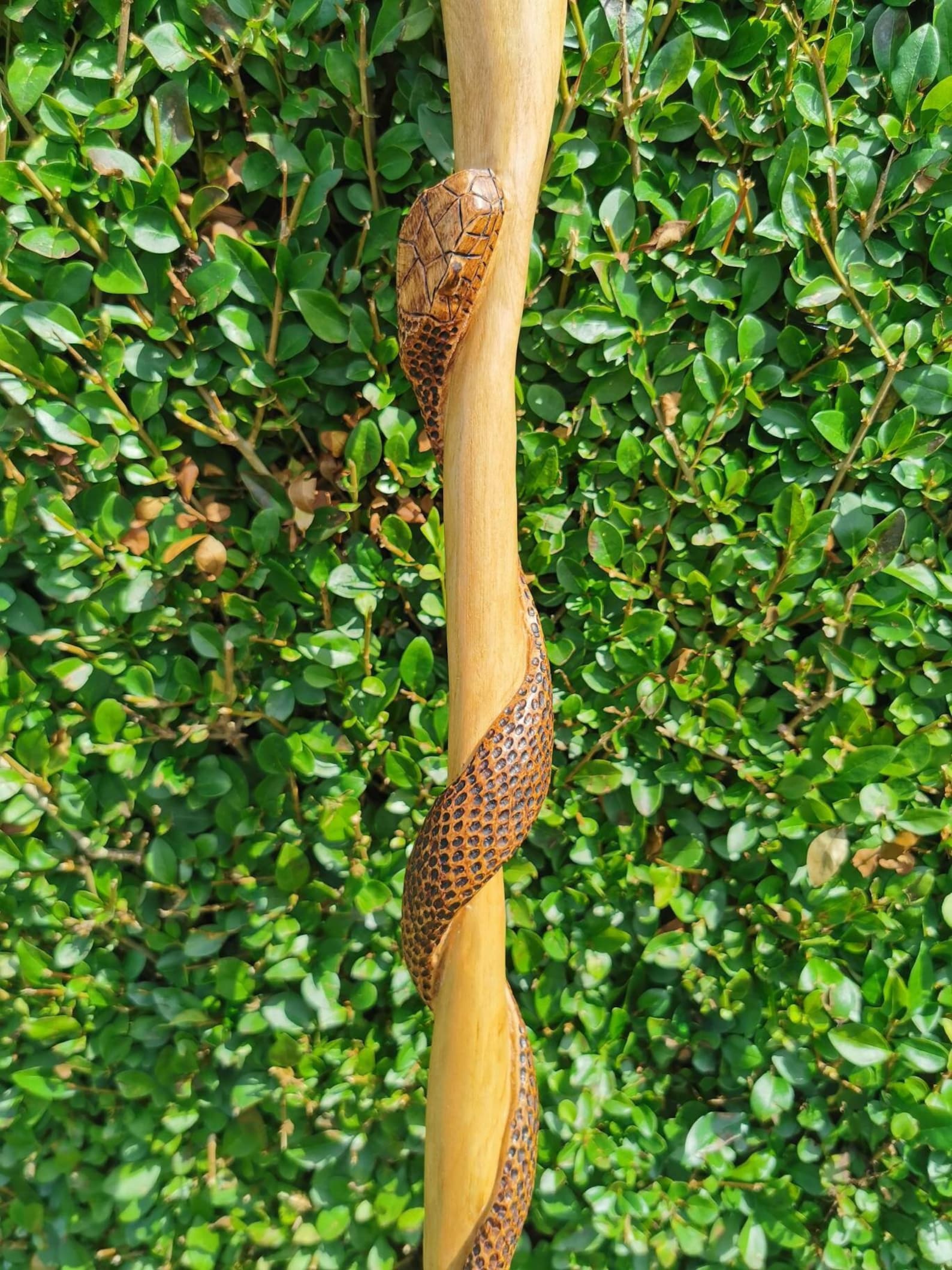 Hand Carved Snake Walking Stick 96cm tall handmade walking Etsy