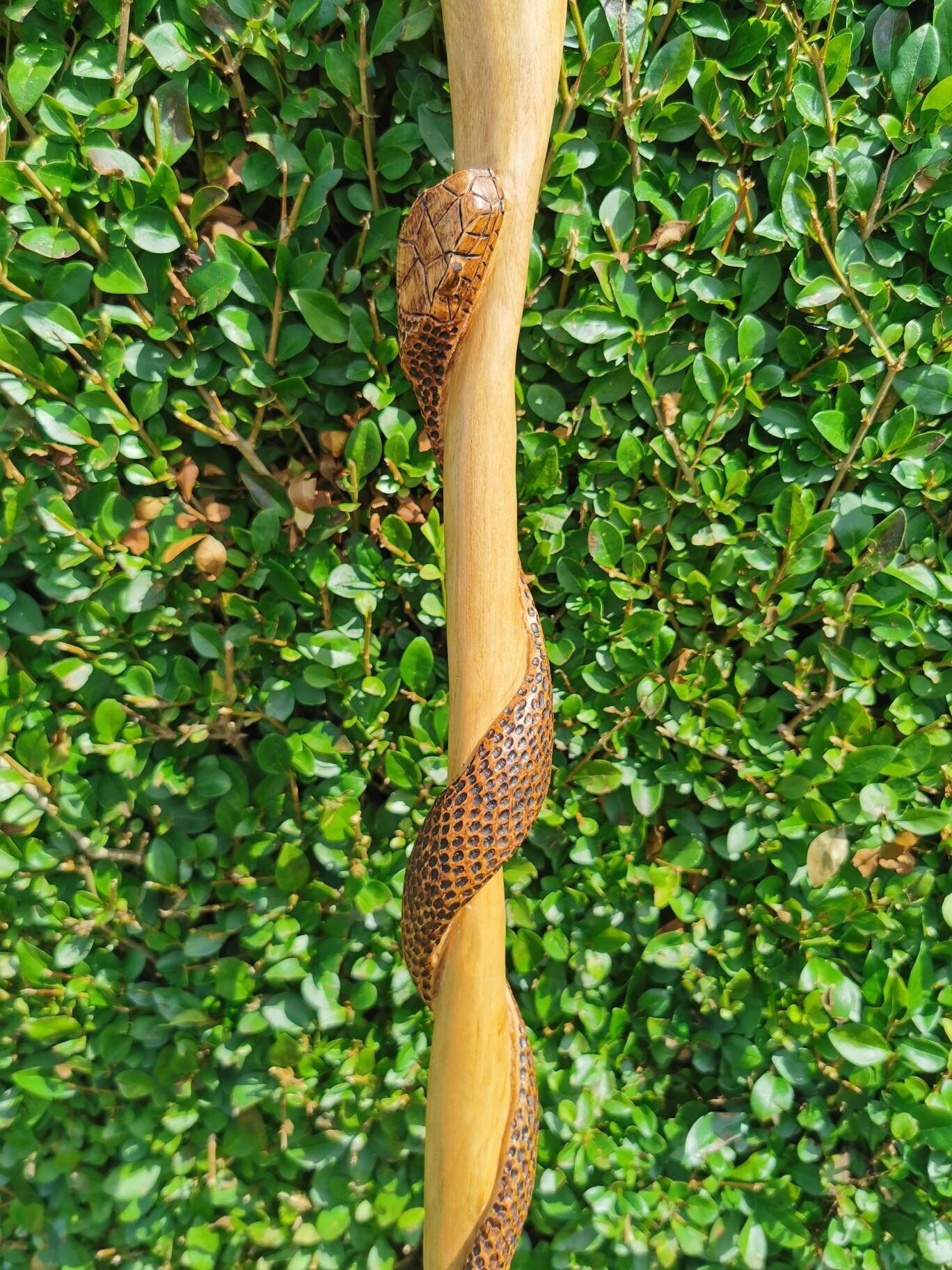 Hand Carved Snake Walking Stick 96cm tall handmade walking Etsy