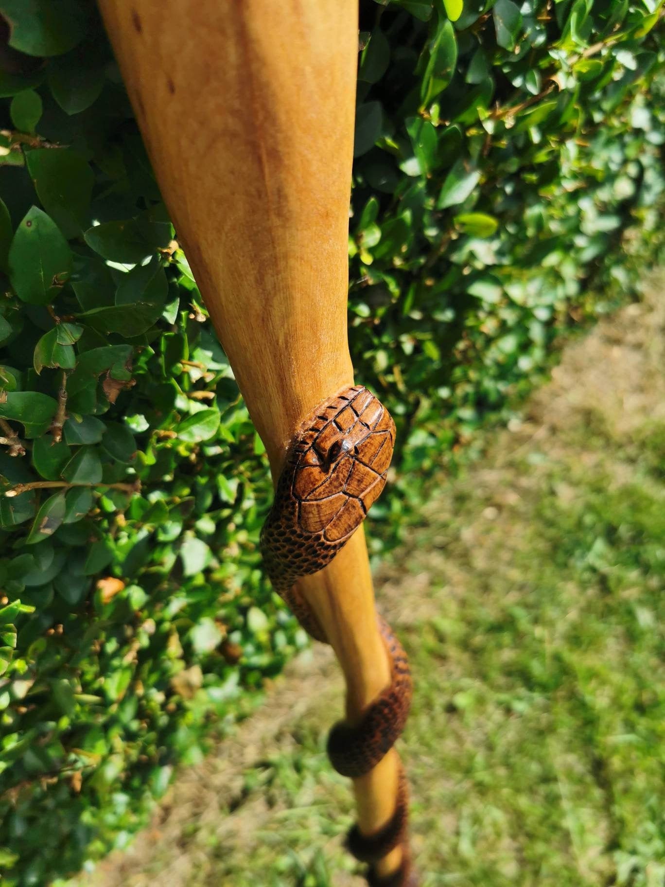 Hand Carved Snake Walking Stick 96cm tall handmade walking Etsy