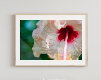 Beautiful Hawaii Hibiscus | "She Meant What She Said" |  Hawaiian Hibiscus Flower | 8x10, 11x14, 16x20 | Travel Prints | Hawaii Wall Decor