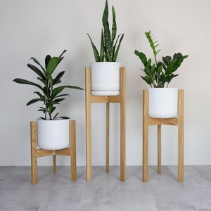 May include: Three wooden plant stands of different heights, each holding a white ceramic pot with greenery. The stands are made of natural wood and have a simple, modern design. The plants include a snake plant, a ZZ plant, and a rubber plant.