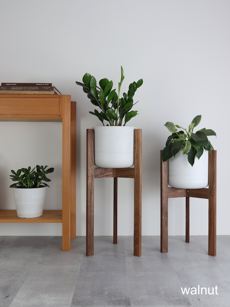 Puede incluir: Dos macetas blancas con plantas verdes en soportes de plantas de madera. Los soportes son de madera de nogal. El soporte m&aacute;s grande mide 76 cm de alto y el m&aacute;s peque&ntilde;o 61 cm.