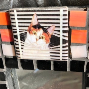 Calico CAT mosaic wall plaque, small mirror and cabinet knobs