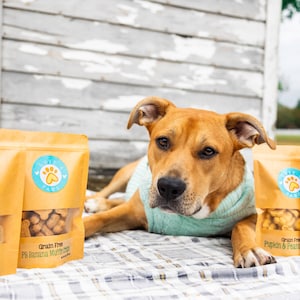 Grain Free Music City Mix Dog Treats