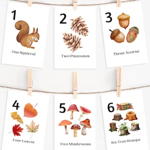 Cartes automne automne chiffres 1-10 à imprimer, cartes nature automne, école à la maison automne à imprimer, classe préscolaire, comptage des cartes mnémotechniques