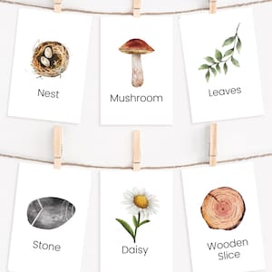 38 Nature Flash Cards, Nature Learning Vocabulary, Loose Parts Play, Reggio Inspired, Homeschool, Montessori Printable, Preschool Classroom