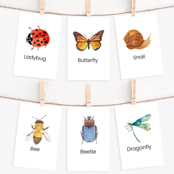 24 Insects Flashcards, Montessori Flashcards, INSTANT DOWNLOAD, Montessori Materials, Homeschool Activities, Preschool Flashcards