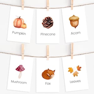 18 Flashcards de outono, Flashcards de outono, DOWNLOAD INSTANTÂNEO, Cartões da natureza, Materiais Montessori, Atividades escolares em casa, Flashcards pré-escolares