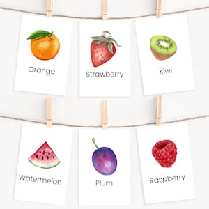 24 Fruit Flashcards, Montessori Flashcards, Food Cards, INSTANT DOWNLOAD, Montessori Materials, Homeschool Activities, Preschool Flashcards