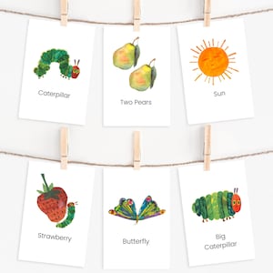 The Very Hungry Caterpillar Flashcards, Homeschool Montessori Flashcards, Storytelling Cards, Preschool Classroom, Butterfly Life Cycle