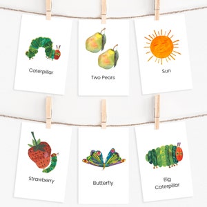 Schede didattiche "Il bruco mai sazio", Schede didattiche Montessori per l'istruzione parentale, Schede per la narrazione, Aula prescolare, Ciclo di vita della farfalla