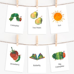 The Very Hungry Caterpillar Flashcards, Homeschool Montessori Flashcards, Storytelling Cards, Preschool Classroom, Butterfly Life Cycle