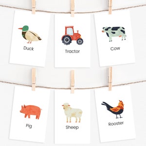 26 Farm Animals Flashcards, Farm Life, INSTANT DOWNLOAD, Nature Cards, Montessori Materials, Homeschool Activities, Preschool Flashcards
