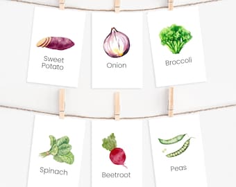 Op de afbeelding: Zes aquarel illustraties van groenten op witte kaartjes met de naam van elke groente eronder gedrukt. De groenten zijn een zoete aardappel, ui, broccoli, spinazie, rode biet en erwten.