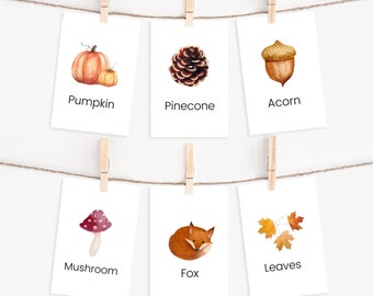 Autumn Flashcards, Montessori Homeschool Nature Cards (INSTANT DOWNLOAD)