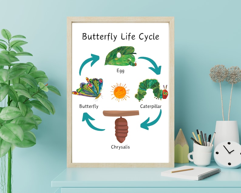 The Very Hungry Caterpillar Life Cycle Poster, Butterfly Lifecycle ...