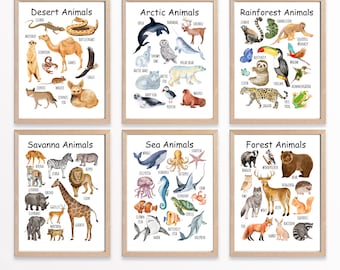 May include: Six illustrated posters featuring different animal categories: Desert, Arctic, Rainforest, Savanna, Sea, and Forest. Each poster features a colorful watercolor illustration of various animals with their names listed below.