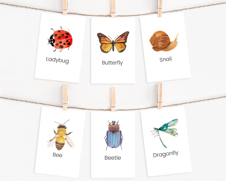 24 Insects Flashcards, Montessori Flashcards, INSTANT DOWNLOAD, Montessori Materials, Homeschool Activities, Preschool Flashcards image 1