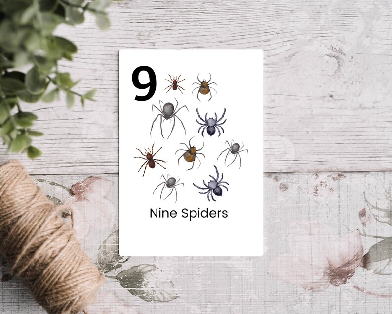 Puede incluir: Una tarjeta blanca con el n&uacute;mero 9 y las palabras "Nine Spiders" impresas en ella. Hay nueve ara&ntilde;as de diferentes colores ilustradas en la tarjeta.