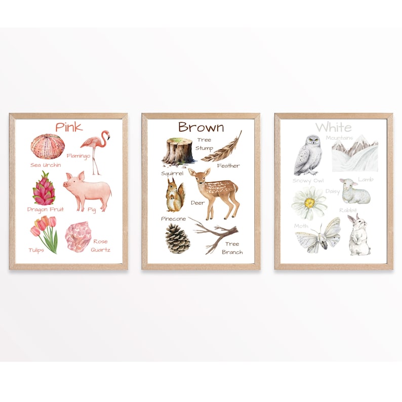 Nature Colors Posters, Printable Wall Art, Classroom Learning Posters ...