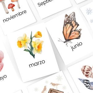 Spaanse maanden van het jaar kaarten, Spaanse flashcards, afdrukbare homeschool, montessori, natuurflashcards, kleuterschool, prek, klasdecor,