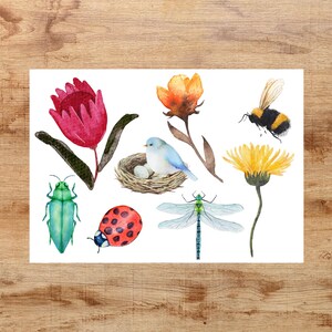 May include: Watercolor illustration of a variety of nature elements, including a red flower, a blue bird in a nest, a yellow flower, a green beetle, a red ladybug, a dragonfly, and a bumblebee.