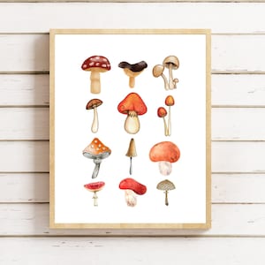 Mushroom Printable Wall Art, Mushroom Poster, Whimsical Woodland, Nursery Art Print,  Mushrooms Print, Nature Print, Montessori, Homeschool