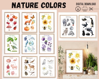Nature Colors Posters, Printable Wall Art, Classroom Learning Posters, Nursery Wall Decor, Kids Room Decor, Montessori, Homeschool