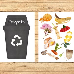 Op de afbeelding: Een zwarte prullenbak met het woord "Organic" erop en een wit recycle-symbool. De prullenbak staat naast een wit blad met afbeeldingen van voedselresten, waaronder een bananenschil, een sinaasappelschil, een appelkern, een citroenschil, een worteltop, een theezakje, een eierschaal, een bloem en een visgraat.