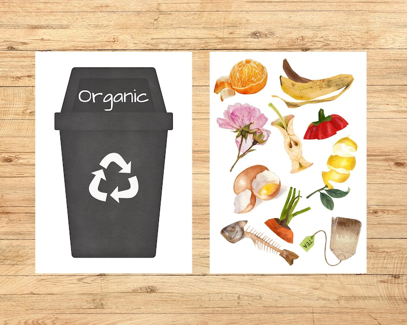 Op de afbeelding: Een zwarte prullenbak met het woord "Organic" erop en een wit recycle-symbool. De prullenbak staat naast een wit blad met afbeeldingen van voedselresten, waaronder een bananenschil, een sinaasappelschil, een appelkern, een citroenschil, een worteltop, een theezakje, een eierschaal, een bloem en een visgraat.