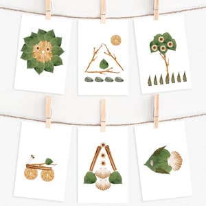 Puede incluir: Seis tarjetas con diferentes dise&ntilde;os inspirados en la naturaleza, hechos con flores secas, hojas y otros elementos naturales. Las tarjetas est&aacute;n colgadas de una cuerda con pinzas para la ropa.