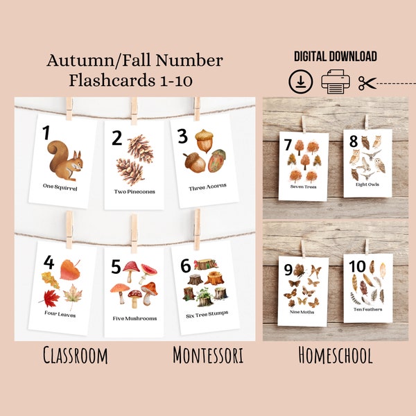 Autumn Number Flashcards 1-10 Printable, Nature Number Cards, Fall Homeschool Printable , Preschool Classroom, Counting Flashcards