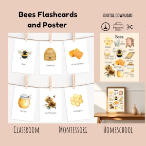 Bienen-Flashcards, Bienen-Lernposter, Montessori, Homeschool, druckbares Klassenzimmer-Poster, Waldschule, Bienen-Naturstudie, Weltbienentag