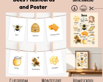Bees Flashcards and Educational Poster, Montessori Homeschool (Digital Download)