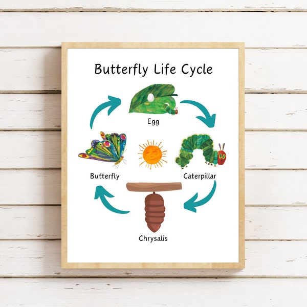 The Very Hungry Caterpillar - Etsy