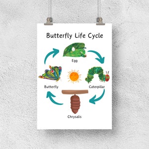 The Very Hungry Caterpillar Life Cycle Poster, Butterfly Lifecycle ...