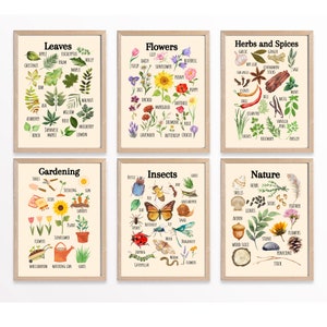 Nature Educational Posters, Printable Wall Art, Classroom Learning Posters, Nursery Wall Decor, Kids Room Decor, Montessori, Homeschool