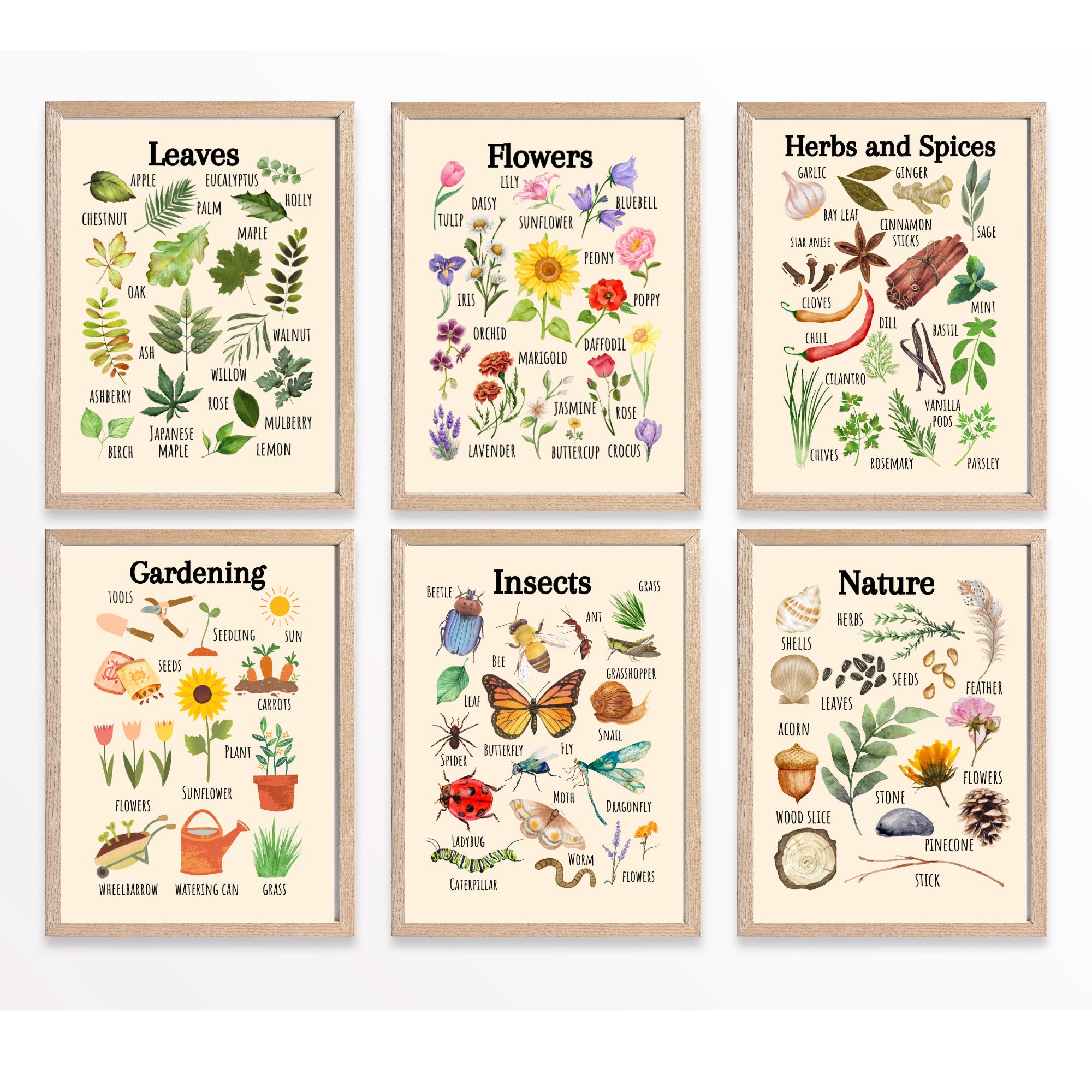 Nature Educational Posters, Printable Wall Art, Classroom Learning Posters, Nursery Wall Decor, Kids Room Decor, Montessori, Homeschool