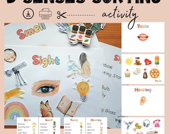 Five Senses Sorting Activity, Preschool, Homeschool, Toddler Busy Book, (Digital Download)